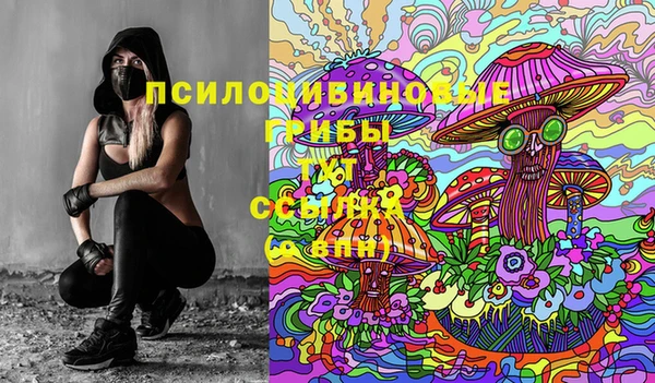 сатива Баксан