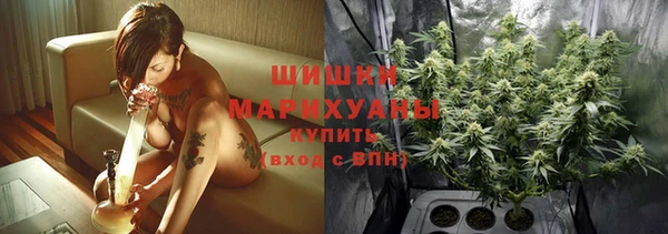 сатива Баксан